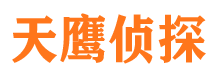 贡井侦探